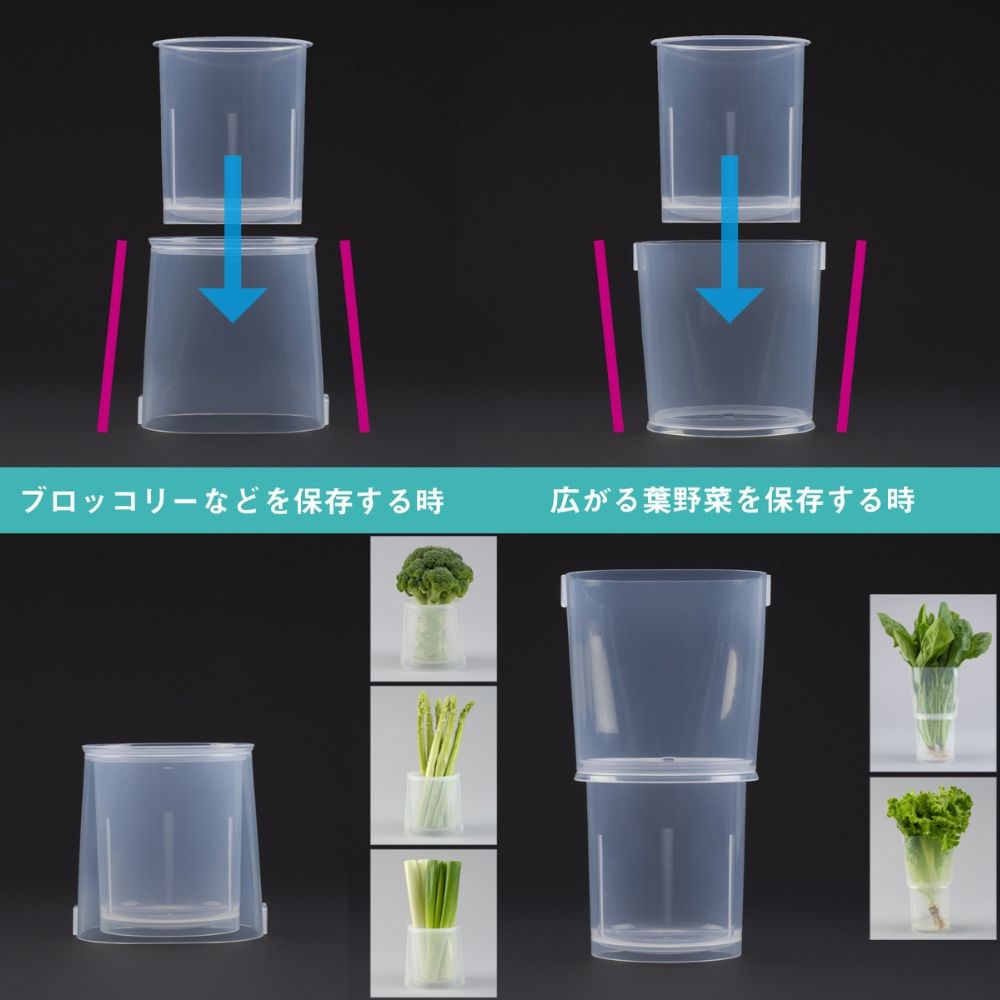 日本製 生菜罐 冰箱蔬菜保存盒
