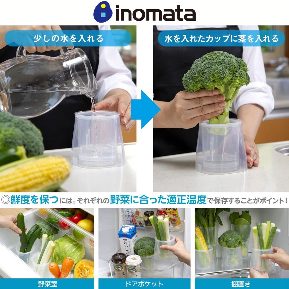 日本製 生菜罐 冰箱蔬菜保存盒