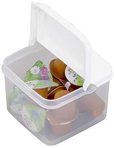 日本製  SANADA  A5726 掀蓋收納盒-S  4973430021487