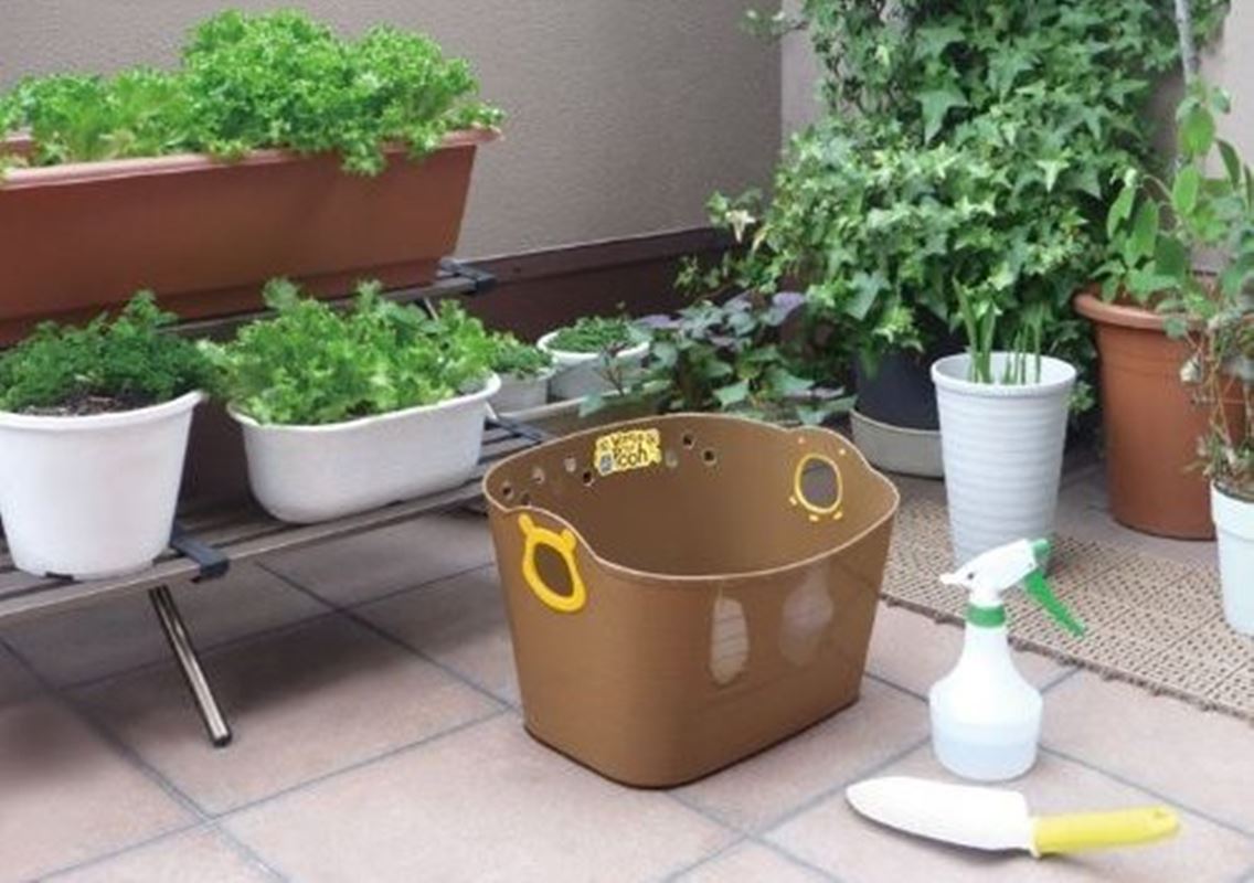 日本製  Disney  迪士尼系列   Mickey Mouse  米奇 . 維尼  SQ16 收納置物籃10 L - 米奇-紅  . 維尼-咖 