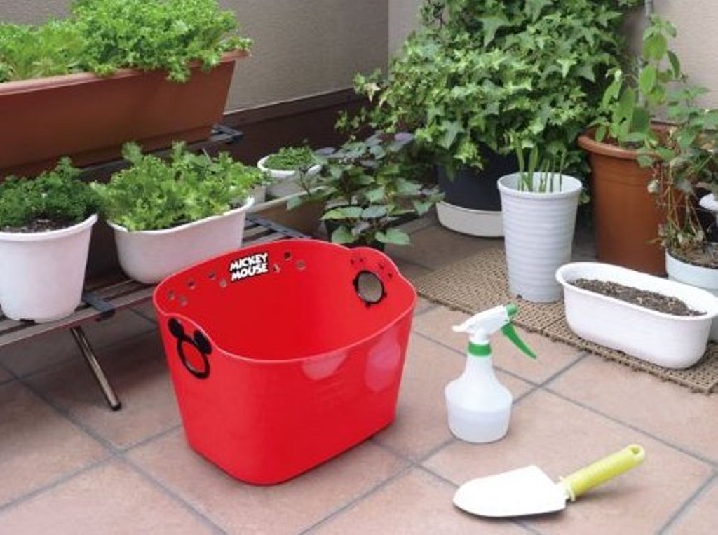 日本製  Disney  迪士尼系列   Mickey Mouse  米奇 . 維尼  SQ16 收納置物籃10 L - 米奇-紅  . 維尼-咖 